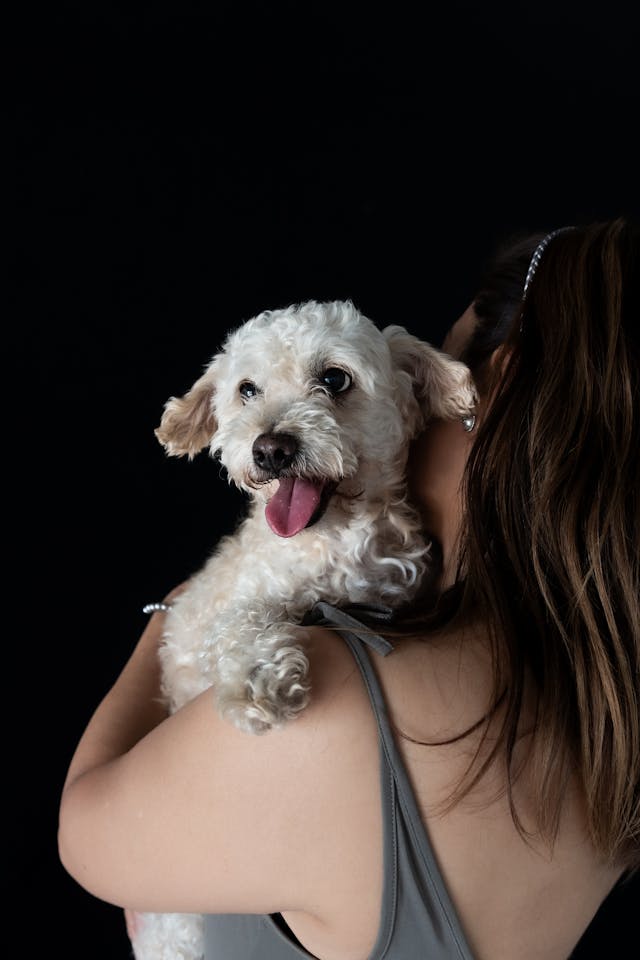 raising a rockstar labradoodle