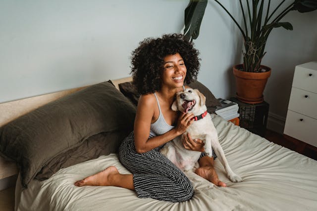 labradoodle separation anxiety