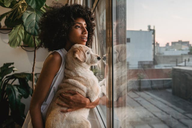 Nutrition Myths and Facts for Labradoodles