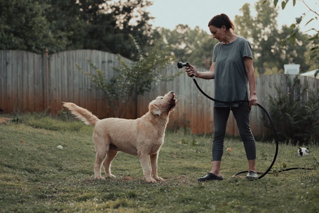 Ethology and Animal Behavior
